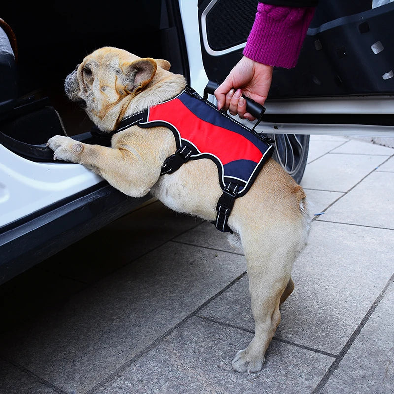 Tactical No-Pull Dog Harness-2