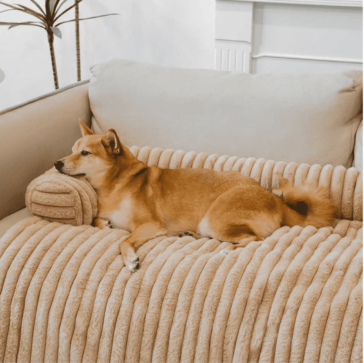 Dog Sofa Mat & Furniture Protector-0